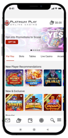 Bonuses and Promotions Offered at Platinum Play Casino