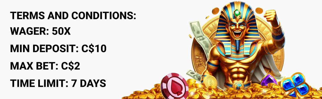 Terms and Conditions for Lemon Casino Bonuses